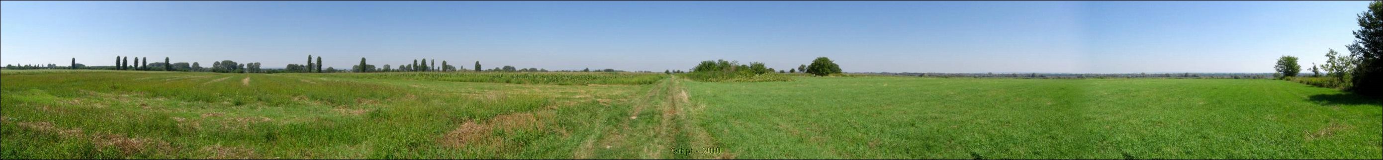 et0874.jpg
