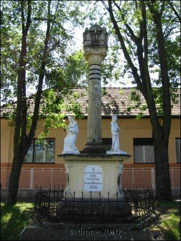 et0876.jpg