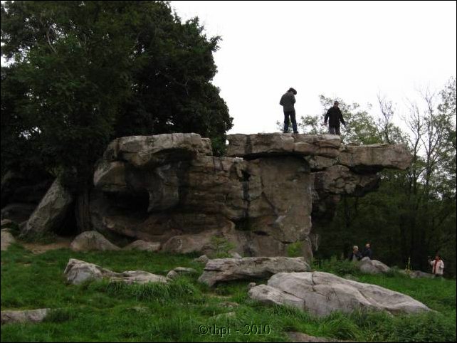 et1148.jpg