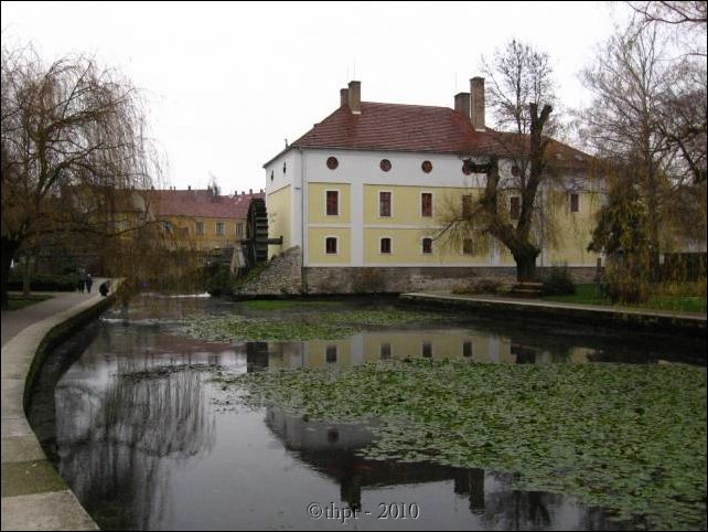 egt0677.jpg