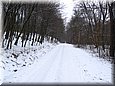 egytt0103.jpg