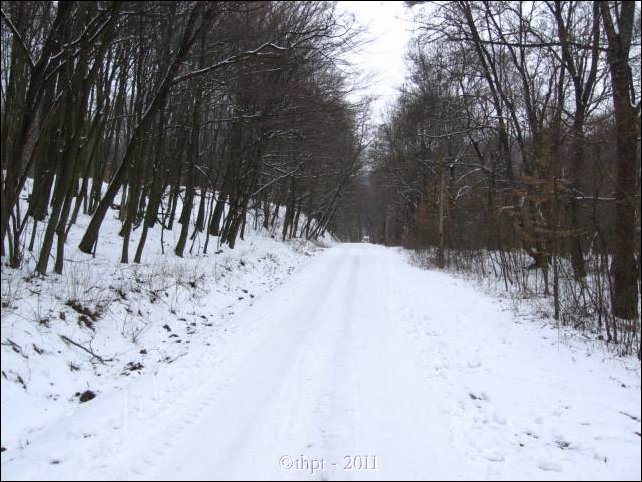 egytt0103.jpg