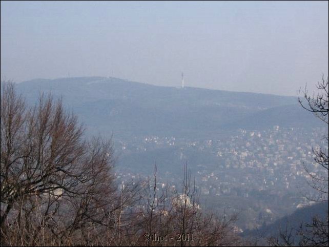 egytt0202.jpg