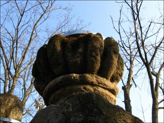 et0306.jpg
