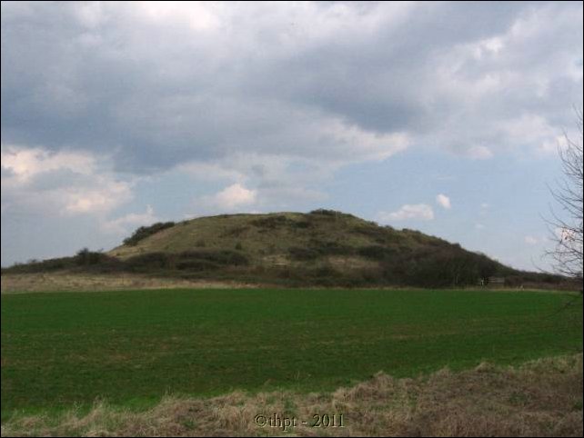 et0415.jpg