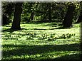 et0516.jpg