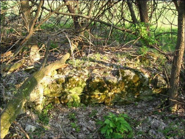 et0604.jpg