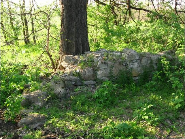 et0605.jpg