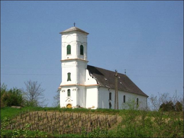 et07006.jpg