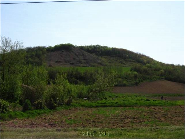et07007.jpg