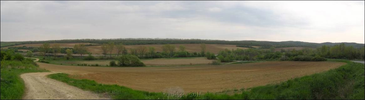 et07038.jpg