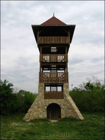 et07049.jpg