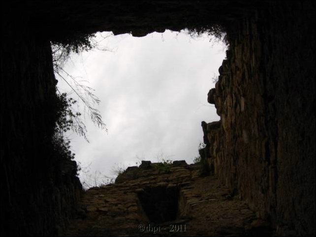 et07055.jpg