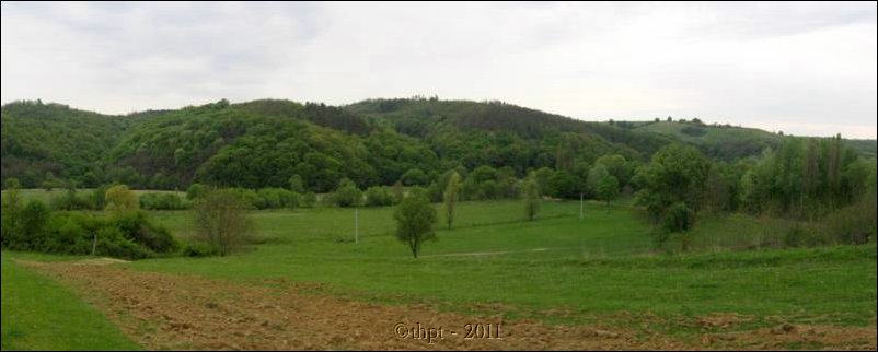 et07056.jpg