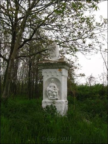 et07057.jpg