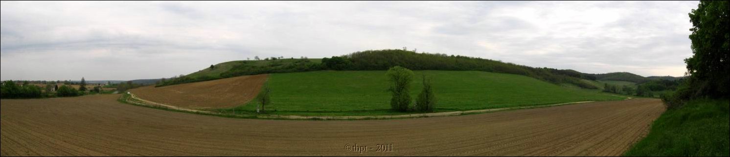 et07063.jpg