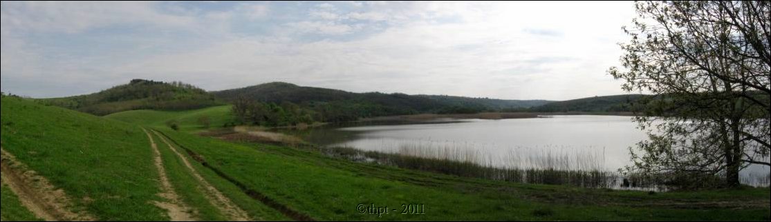 et07072.jpg