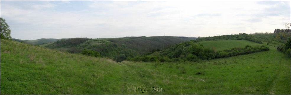 et07075.jpg