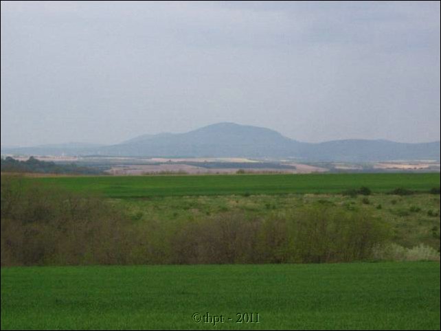 et07078.jpg