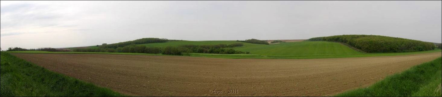 et07079.jpg