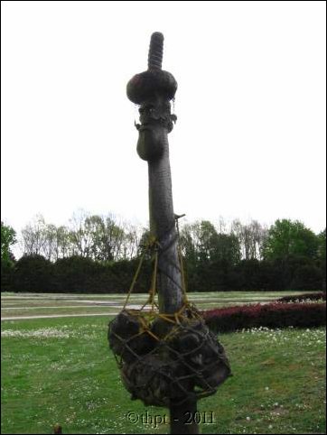 et07082.jpg