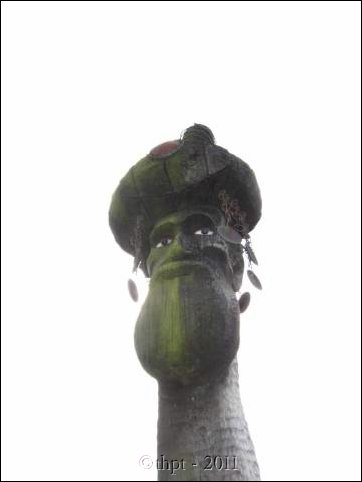 et07083.jpg