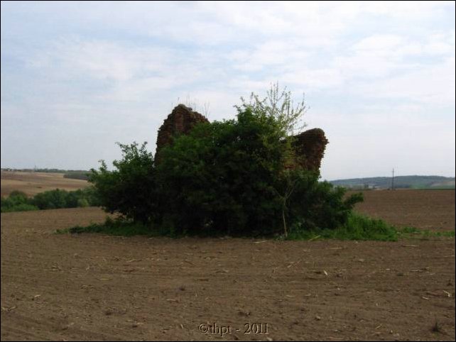 et07092.jpg