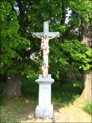 et07095.jpg