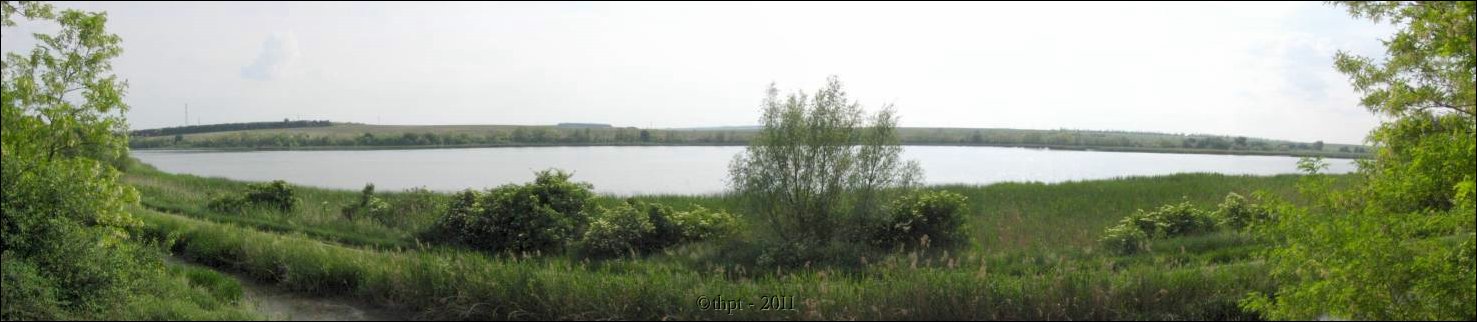 et0901.jpg