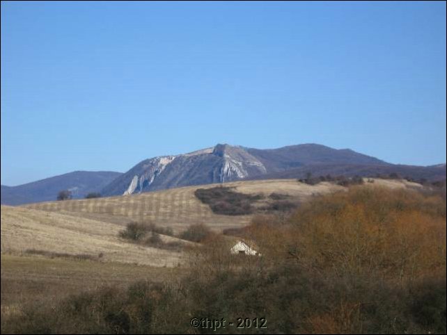 et0208.jpg