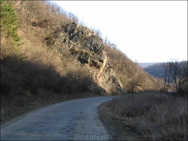 et0211.jpg