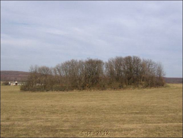 et0514.jpg