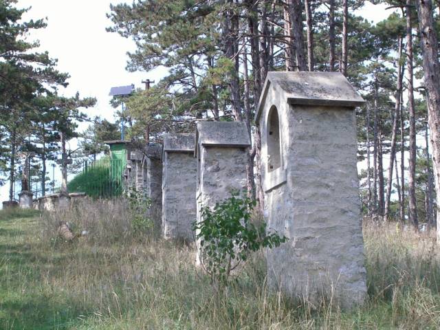 soly02.jpg