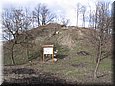 fejerko_07_05.jpg