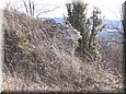 fejerko_07_14.jpg