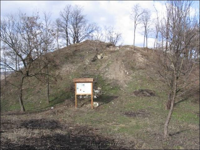 fejerko_07_05.jpg