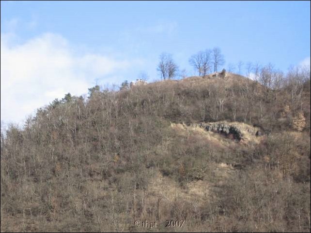 fejerko_07_16.jpg