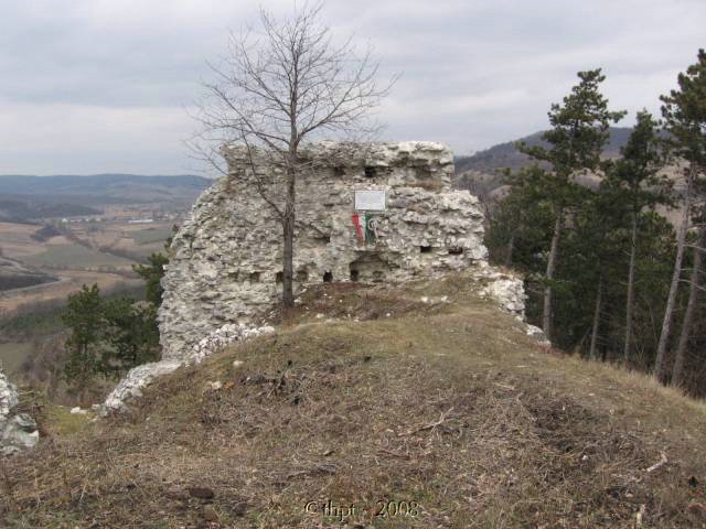 fejerko_08_20.jpg