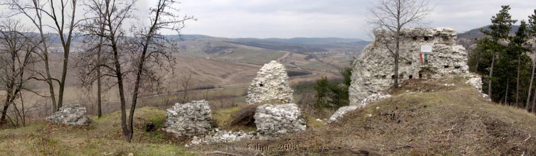 fejerko_08_21.jpg