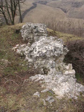 fejerko_08_22.jpg