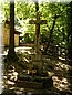 csobanka02.jpg