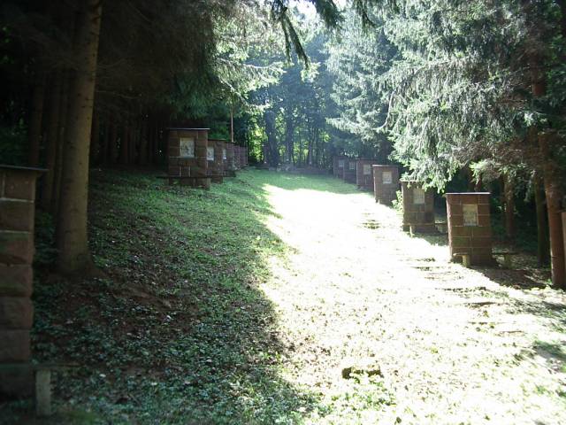 jasd01.jpg