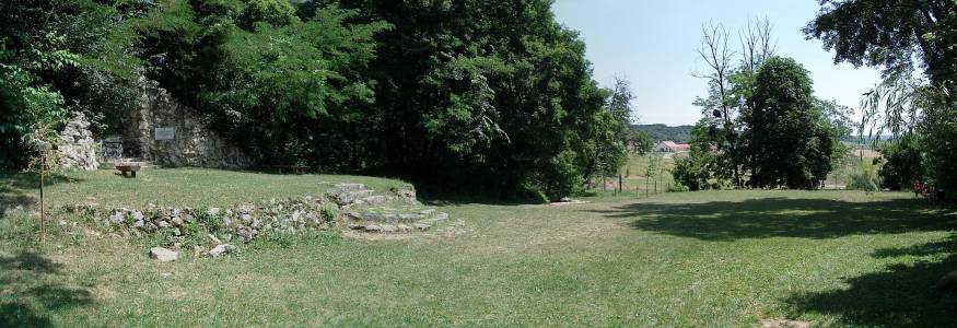 pelif08.jpg