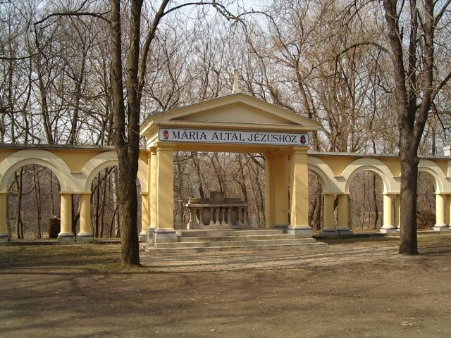 vac03.jpg