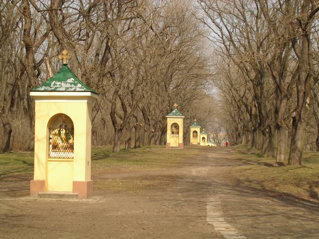vac05.jpg