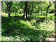 palos_09_03.jpg