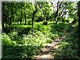 palos_09_04.jpg