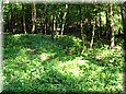 palos_09_06.jpg