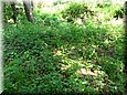 palos_09_07.jpg