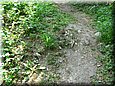 palos_09_09.jpg